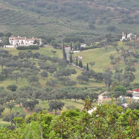 La Rejaquera Villa Villanueva del Rio y Minas Exterior foto