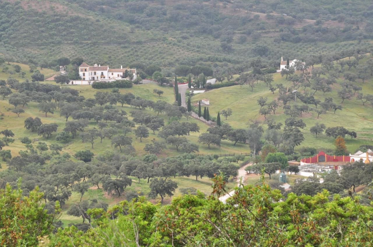 La Rejaquera Villa Villanueva del Rio y Minas Exterior foto